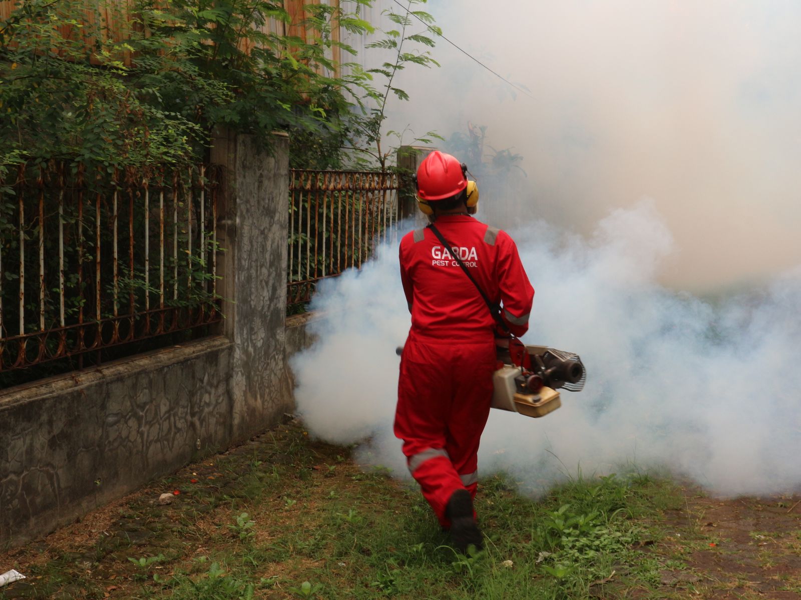 Pest control specialist treating a yard with fogging equipment